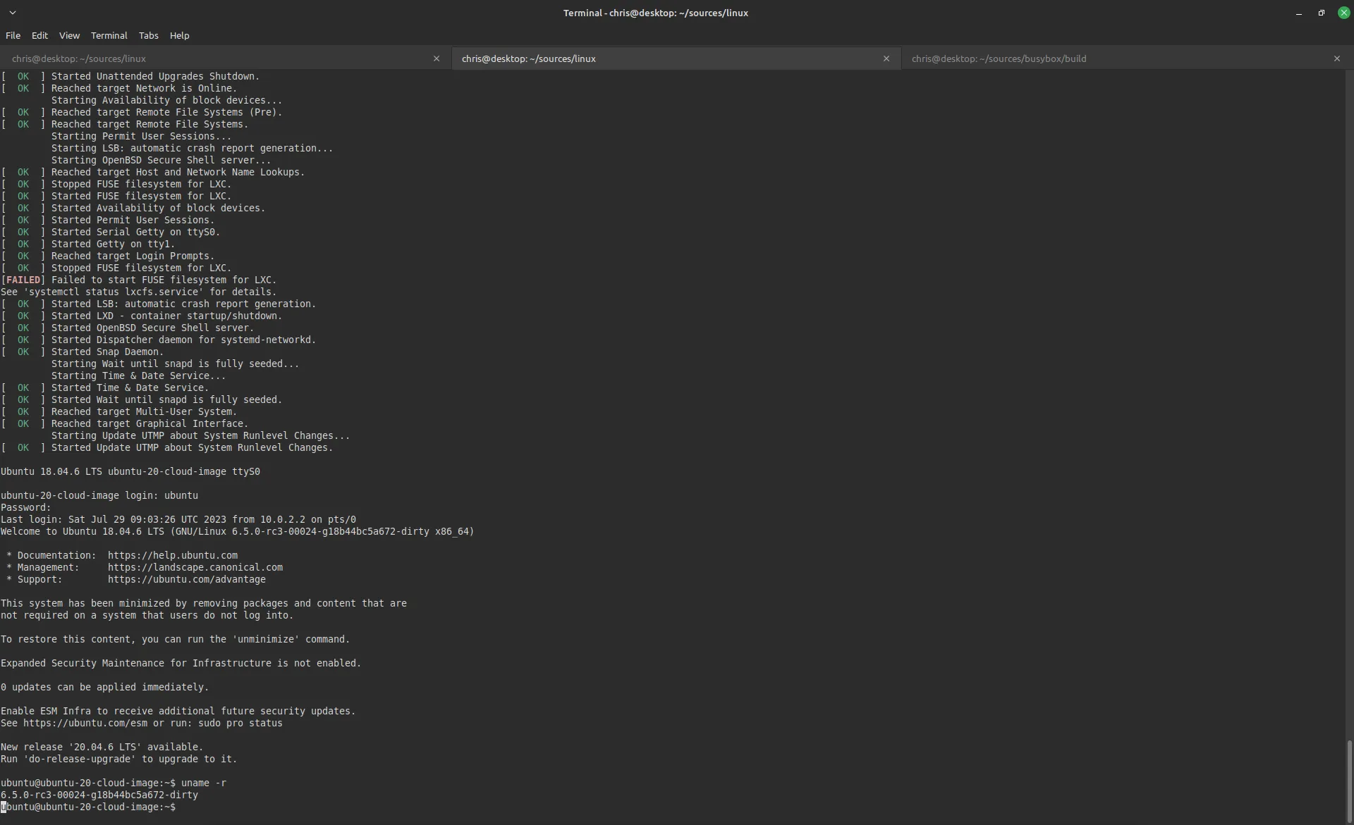 Session output for a successful execution of QEMU. Note the uname output